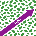 HDP nousi Turkin parlamenttiin – riittääkö se muutokseen?